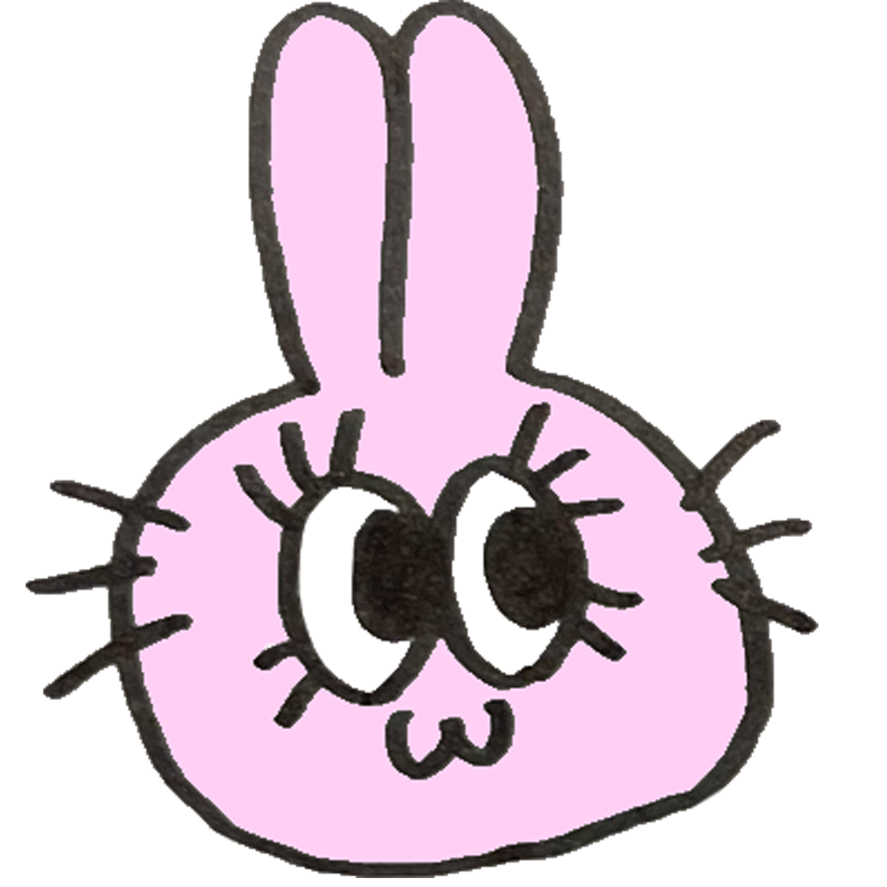 rabbit